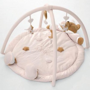 Gimnasio Nanan Puccio Rosa